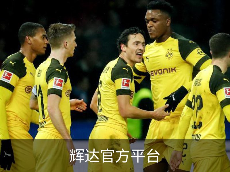 走进辉达官方平台